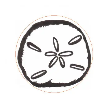 Sew On Clothing Labels Nz